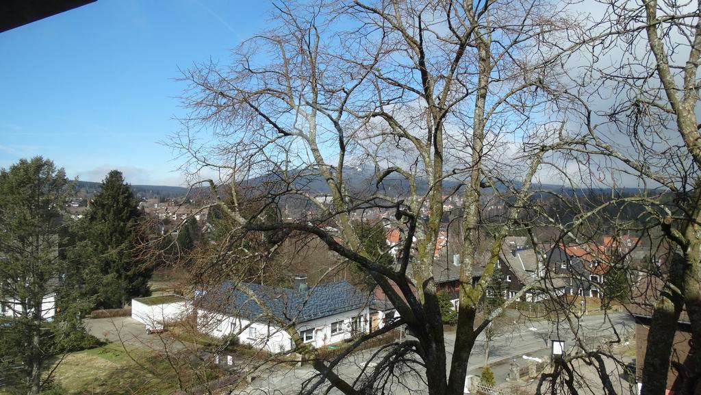 Bergziege Lägenhet Braunlage Exteriör bild