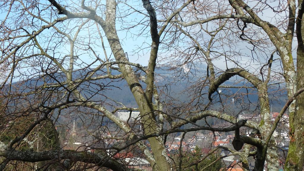 Bergziege Lägenhet Braunlage Exteriör bild