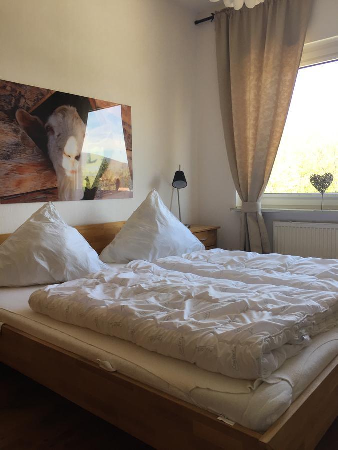 Bergziege Lägenhet Braunlage Exteriör bild